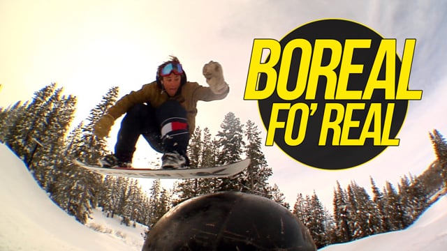 Boreal fo' real