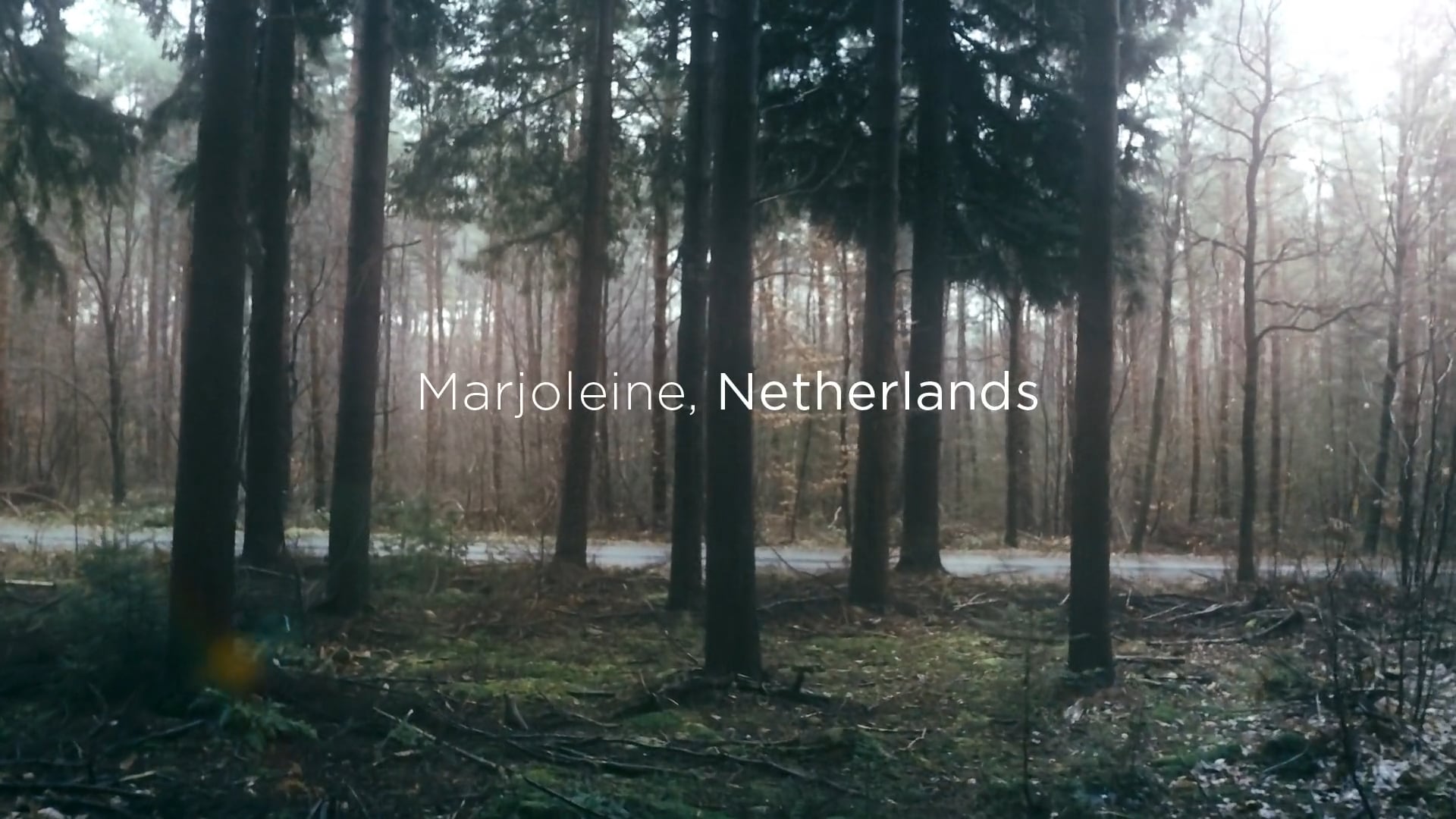 Tesla - Drive To Believe - The Netherlands