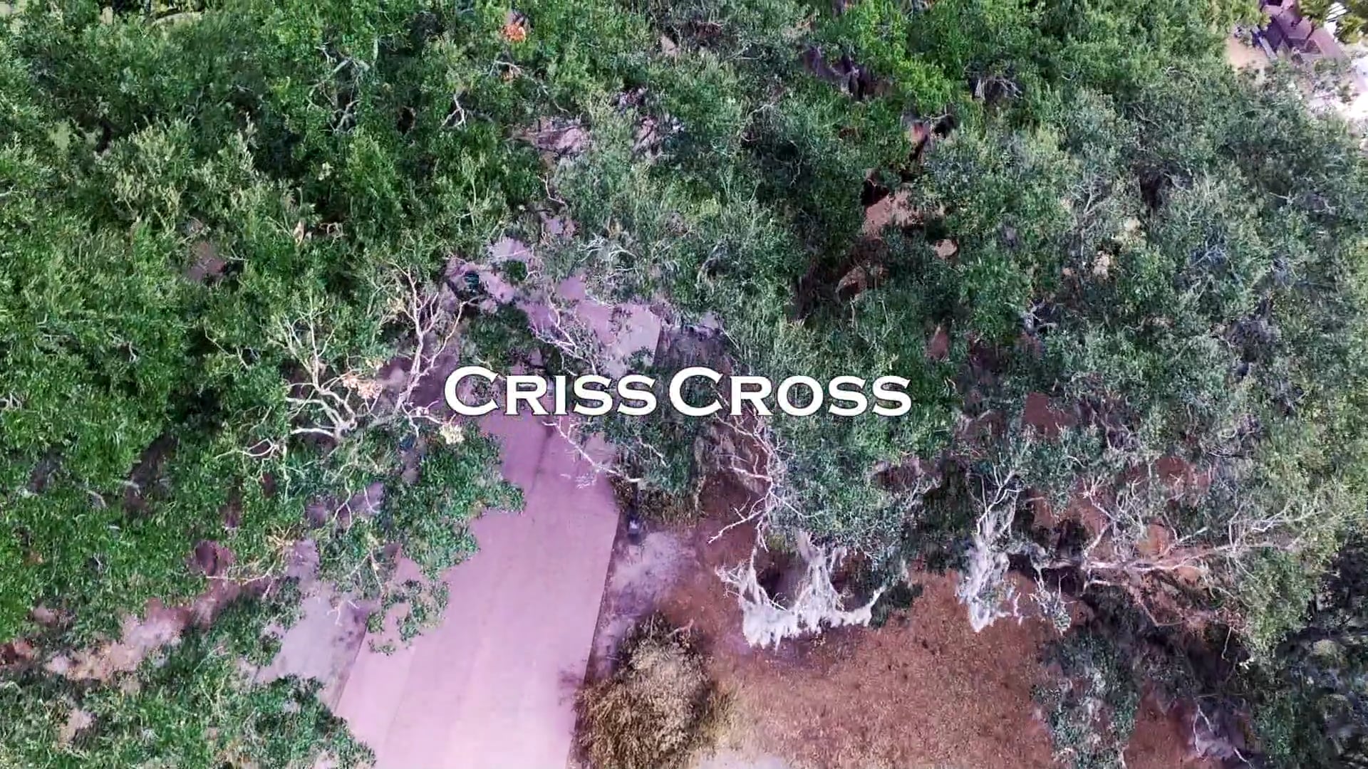 CrissCross