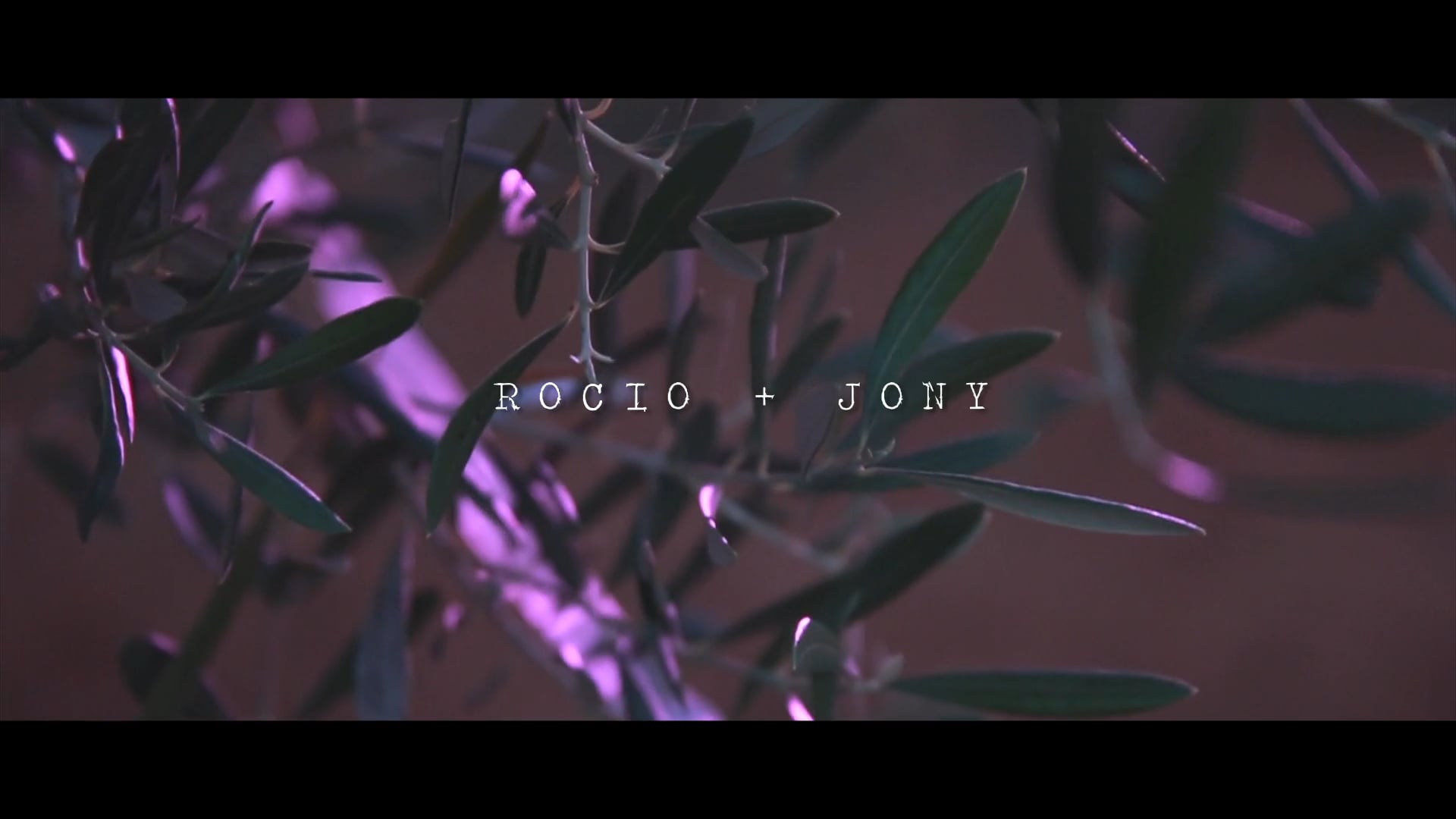 R & J - trailer