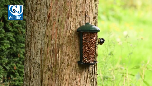 CJ Wildlife Delta Peanut Feeder