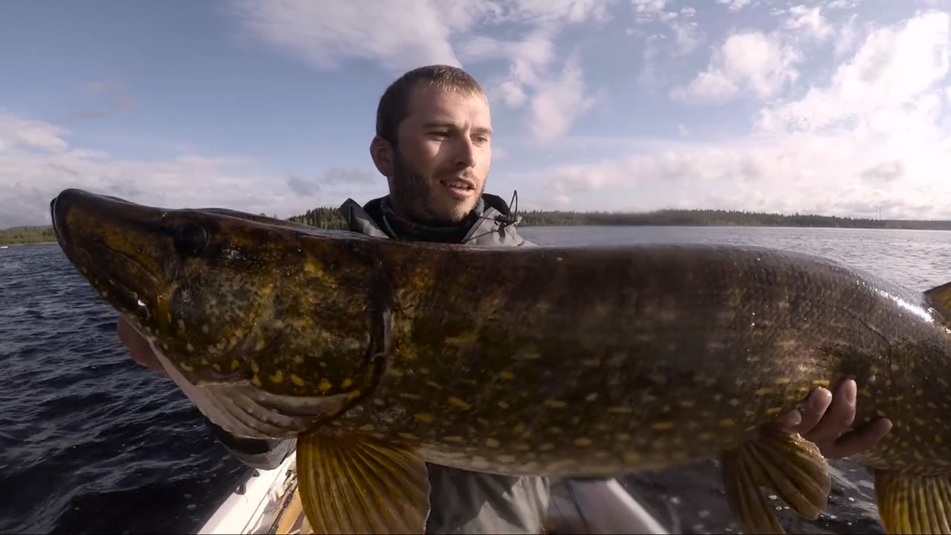 Lappland Pro Natur juillet 2017