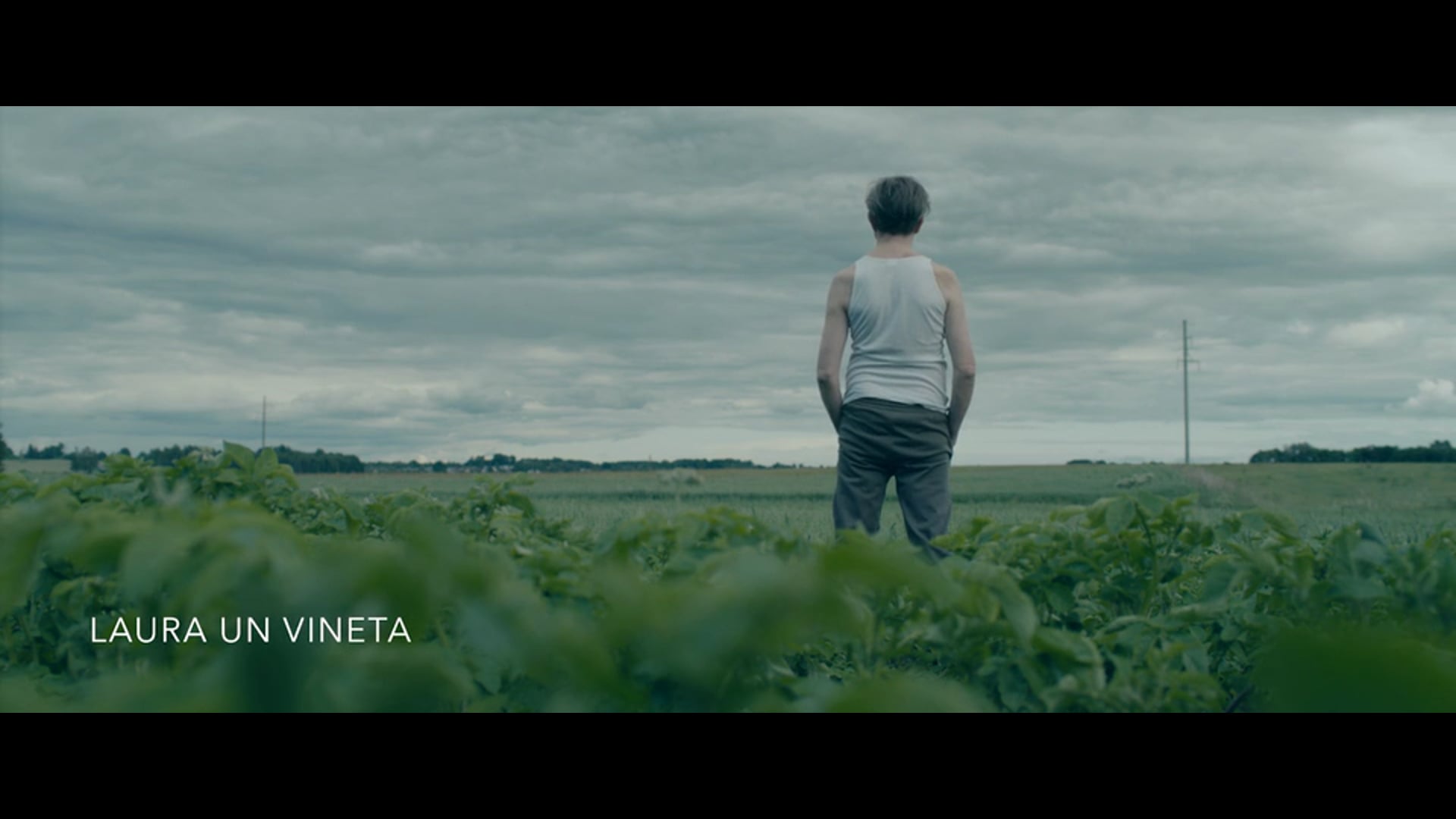 Laura un Vineta (2017)