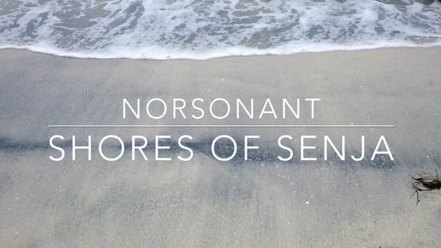 Norsonant - Shores of Senja