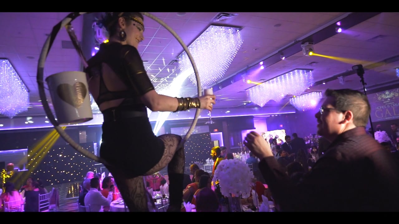 | Billionaire Events | Hopes And Dreams Gala Highlight | Shot & Edited by: Vidaer Studios |