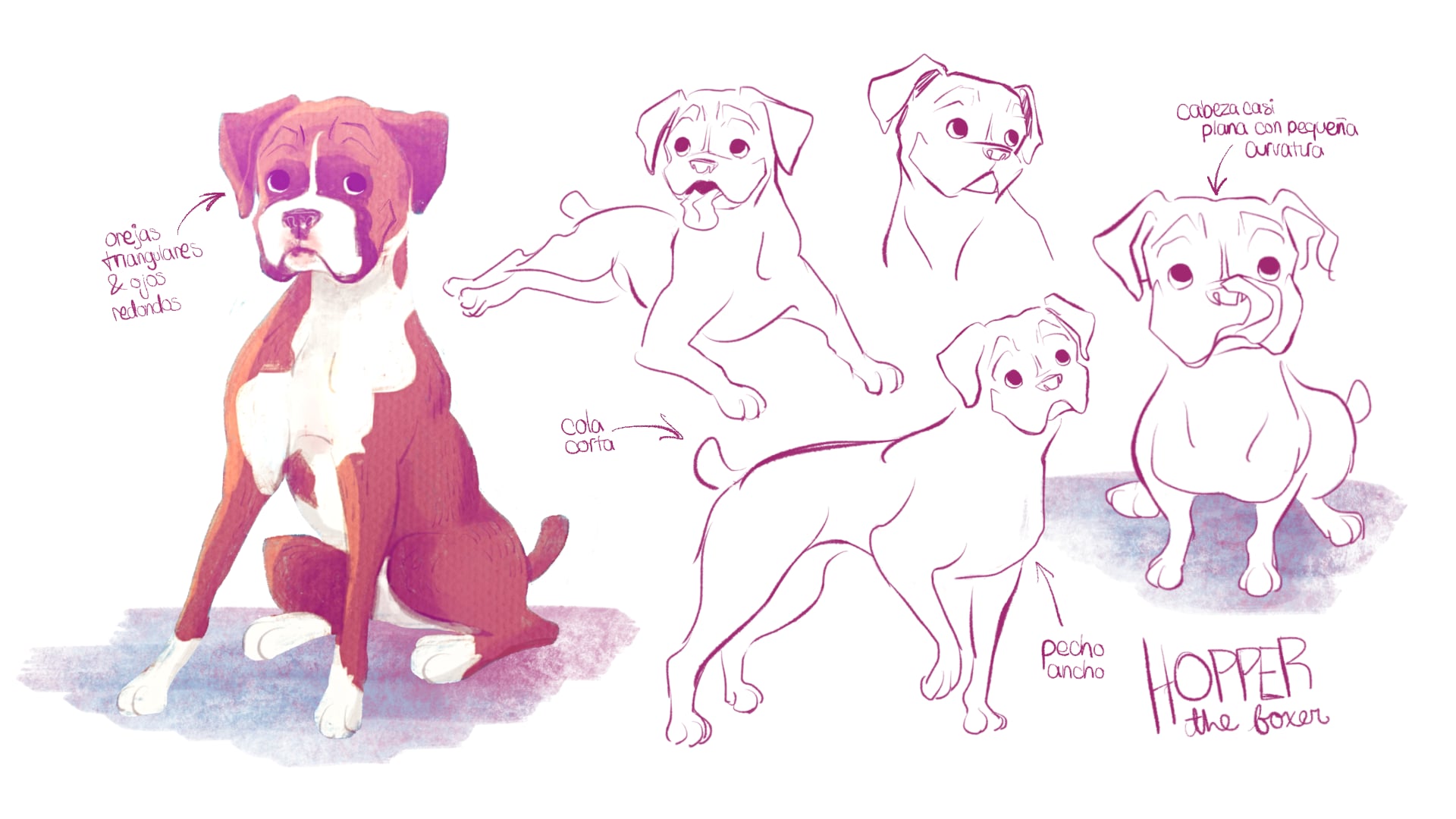 Hopper (Animatic)