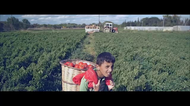 Unicef - Çocuk İşçiler