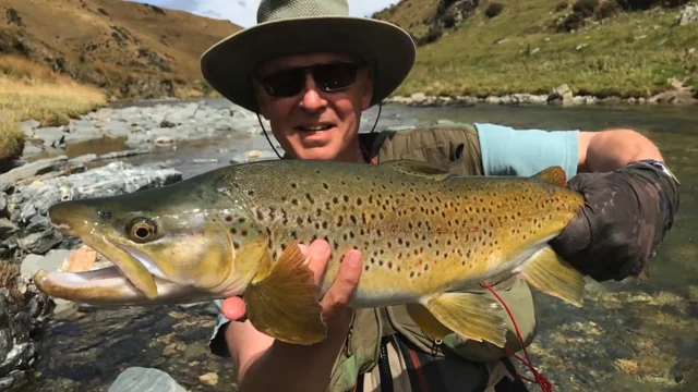 The Trout Diaries, A year of Fly Fishing in New Zealand - January
