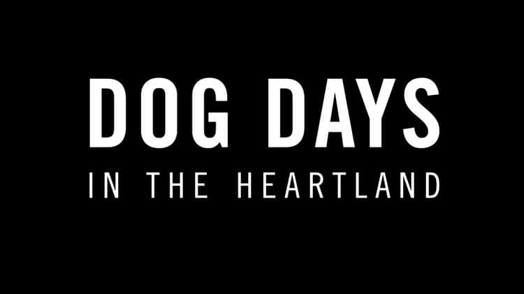 DOG DAYS  Official Trailer 