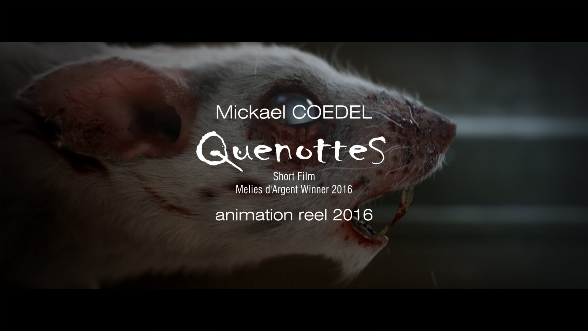 QUENOTTES - Animation Reel - 2016 - Mickael Coedel