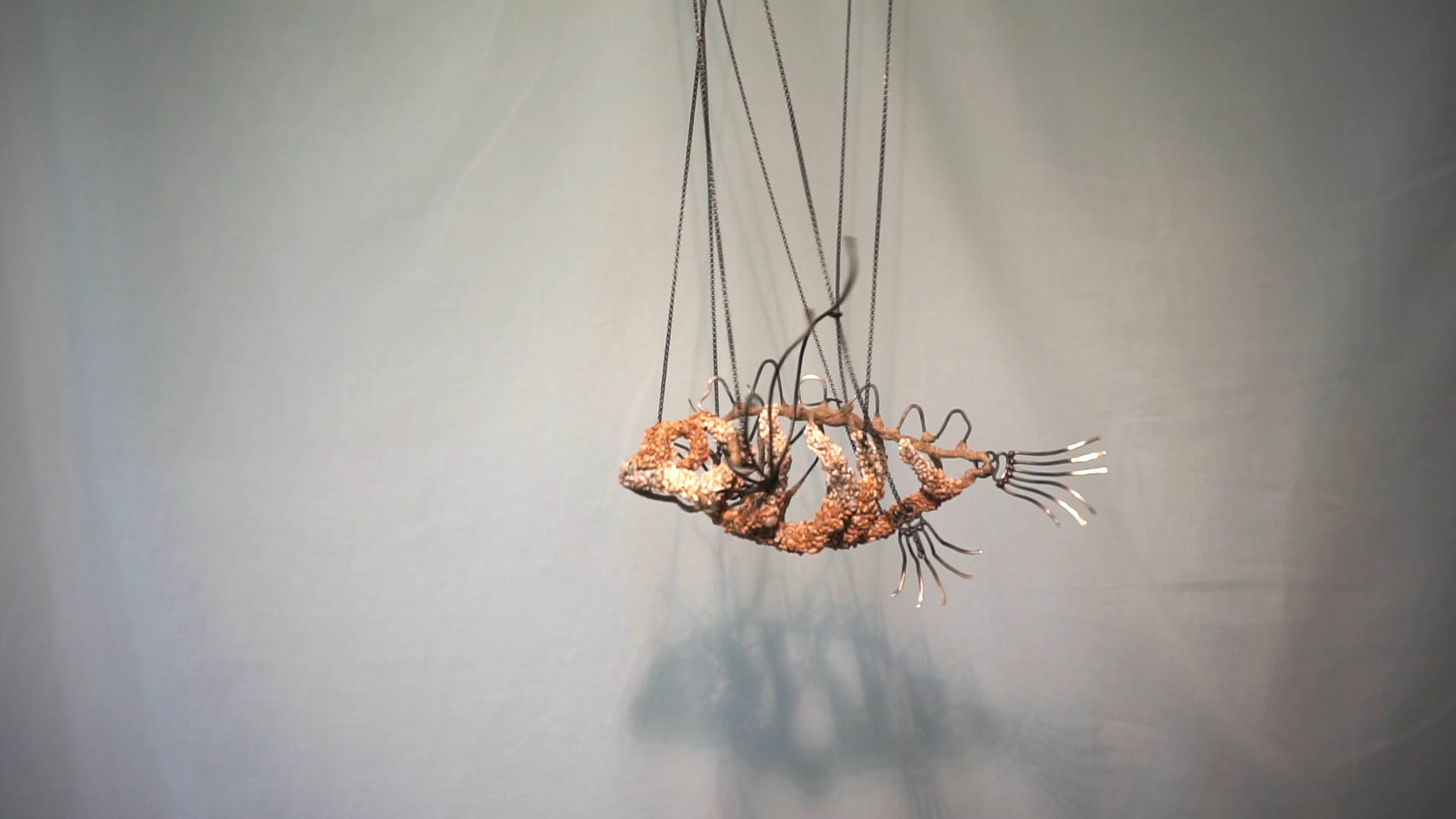 The Artificial Kingdom,  Peixe - Koen Jacobs 2017