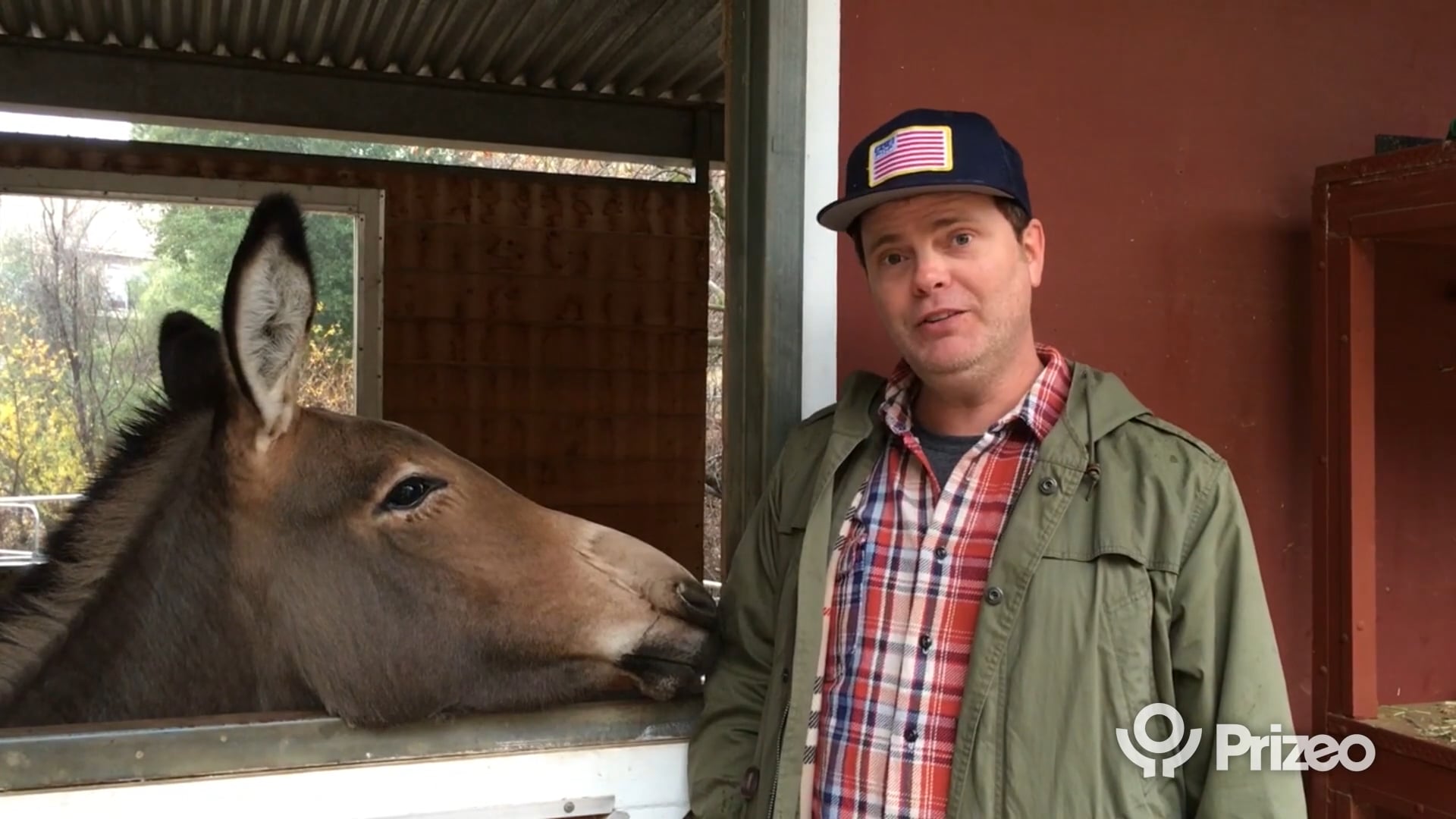 Rainn Wilson