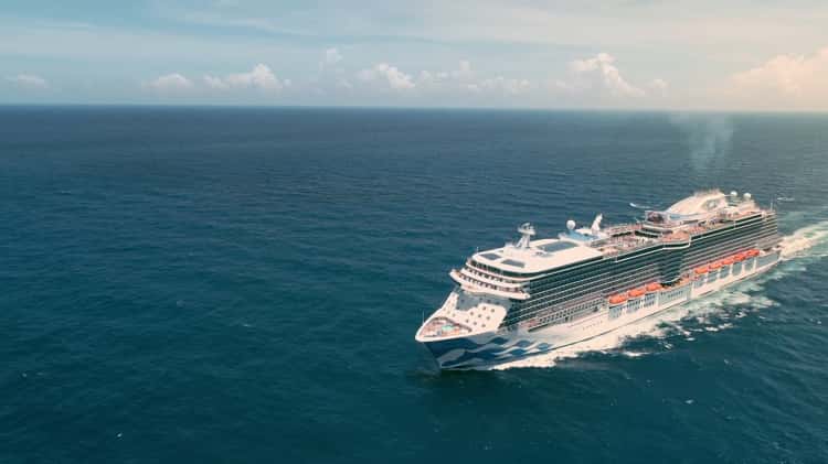 Princess Cruises Logo Come Back New
