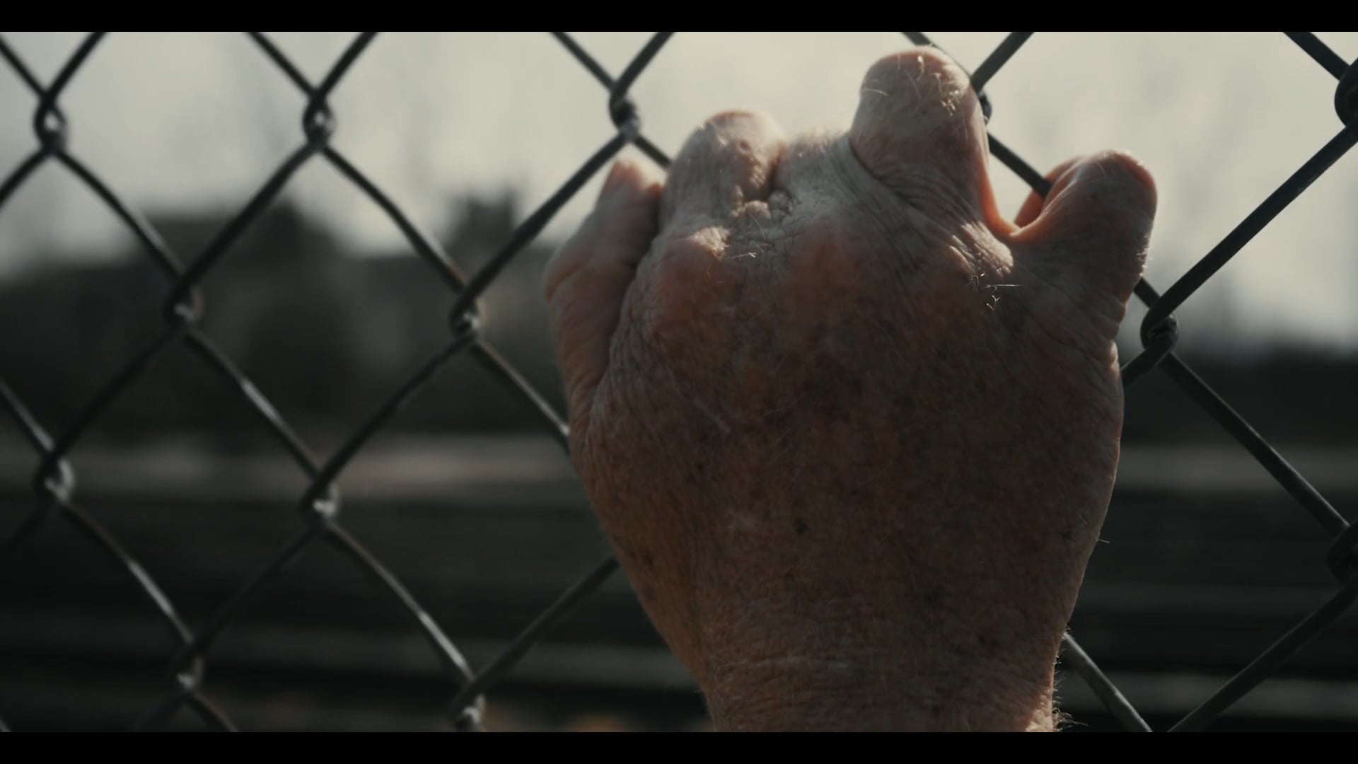 || DAVE KEARNEY || JUDGMENT CALL