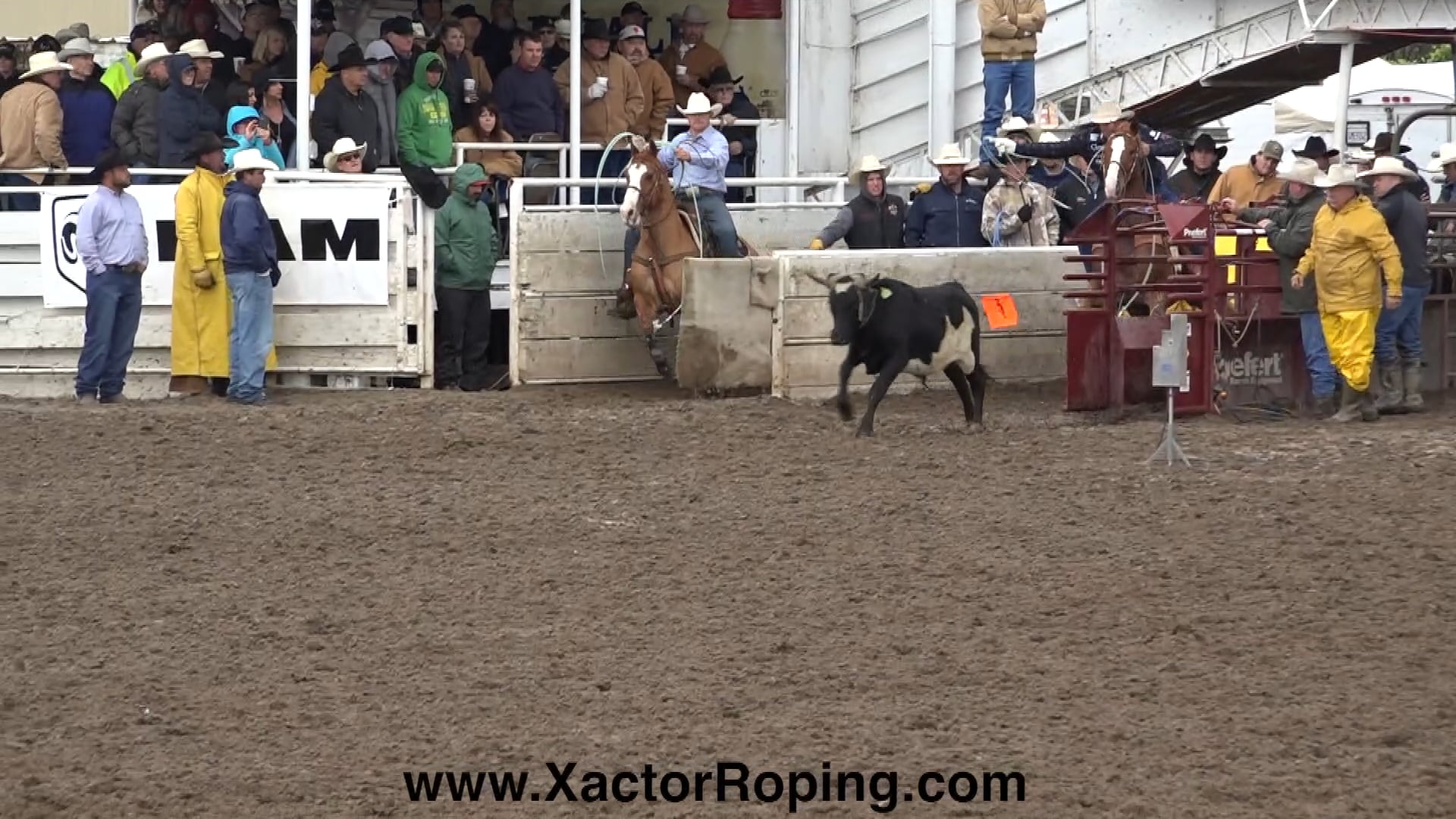 Oakdale, Ca Trailer FREE