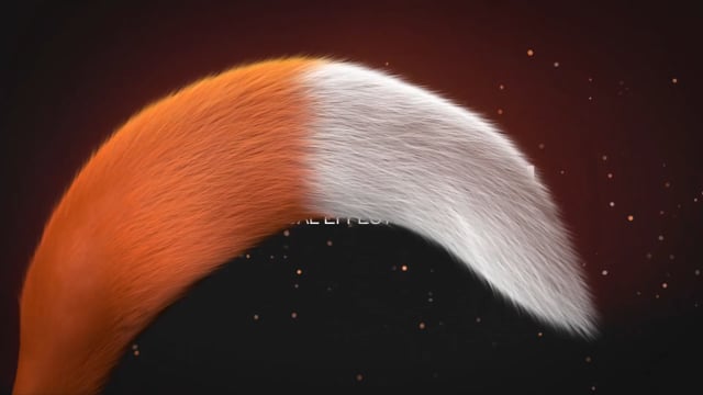 Leader  -  Foxmountain
