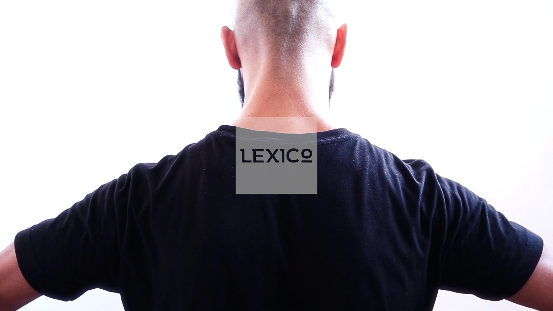 LEXICO - Reinaldo Ribeiro