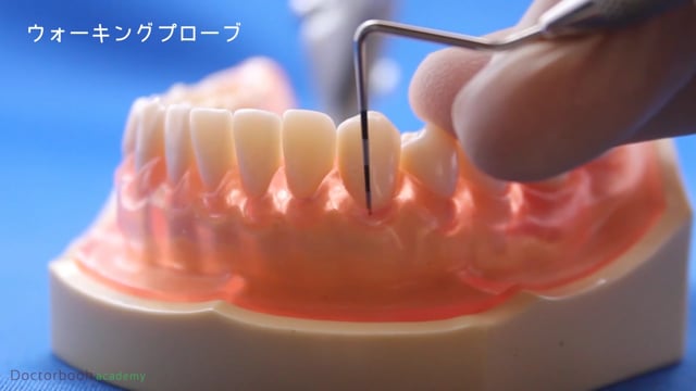 歯科衛生士向けコンテンツ