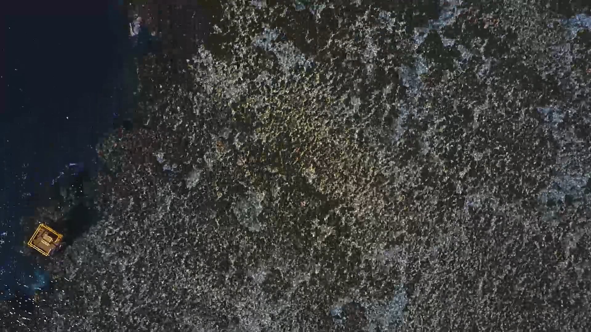 Director | Shooter | Editor