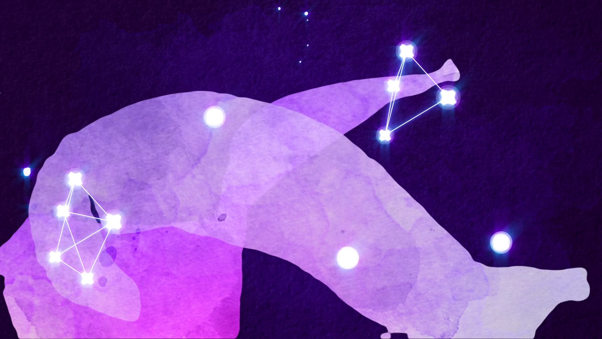 Visual Music: Nocturne