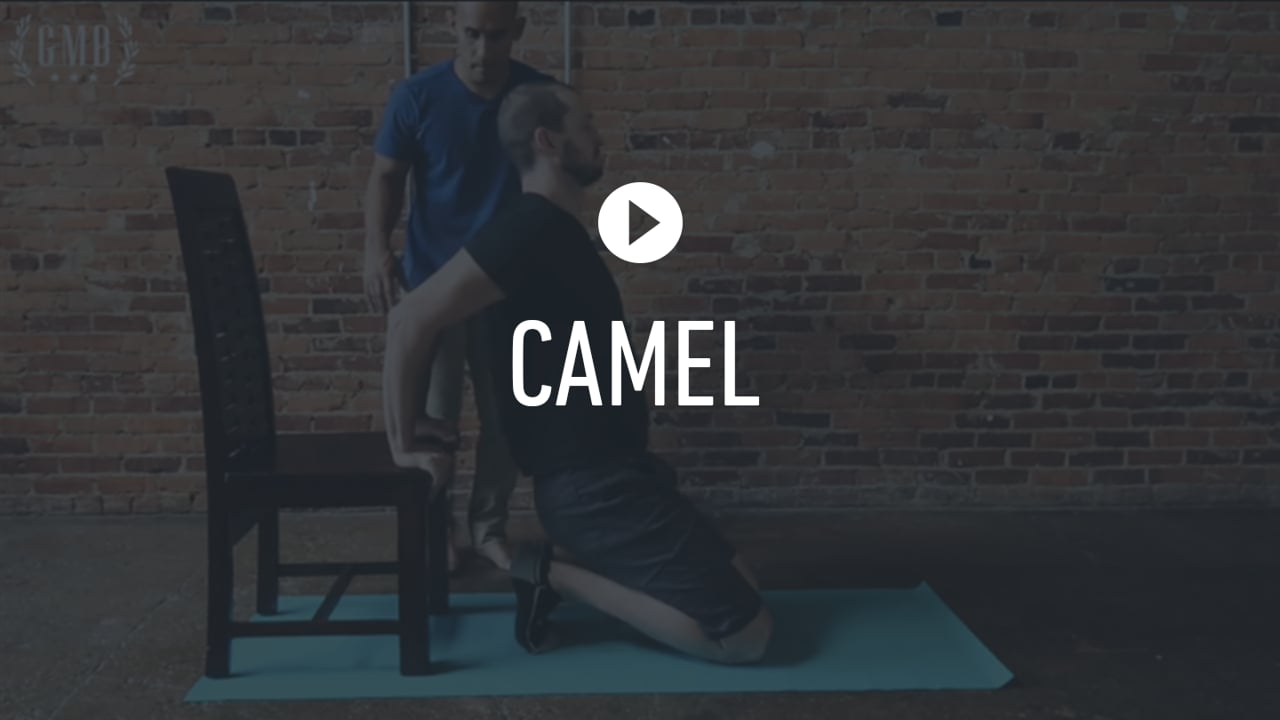 FF Camel Stretch