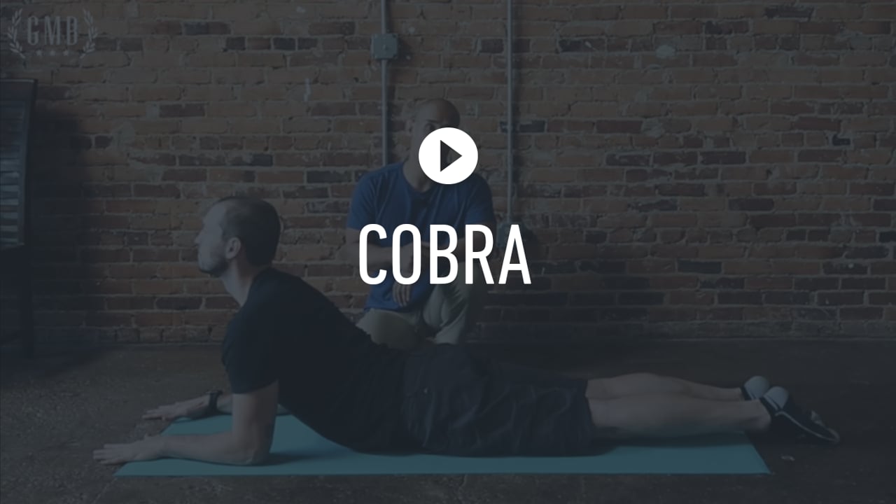 FF Cobra