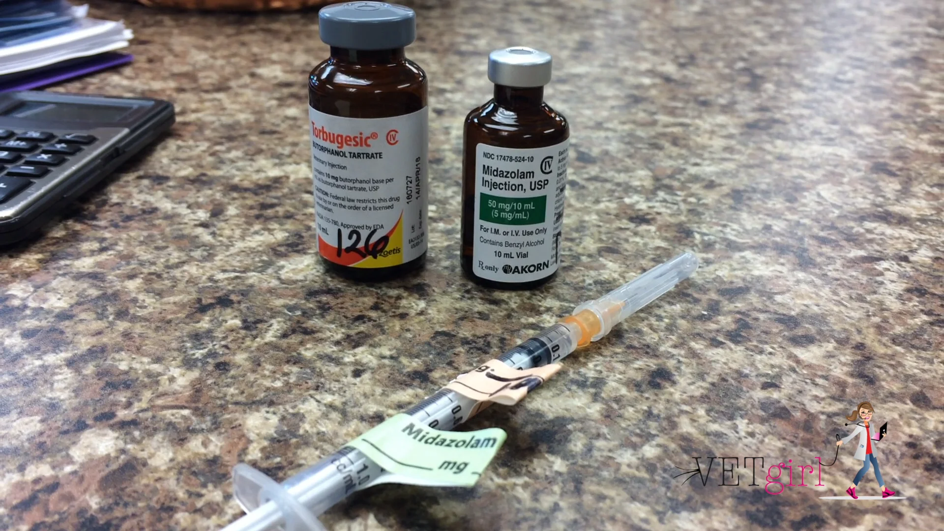 How to get a round bone off a dog | VETgirl Veterinary Continuing Education  Videos, image size:1920x1080