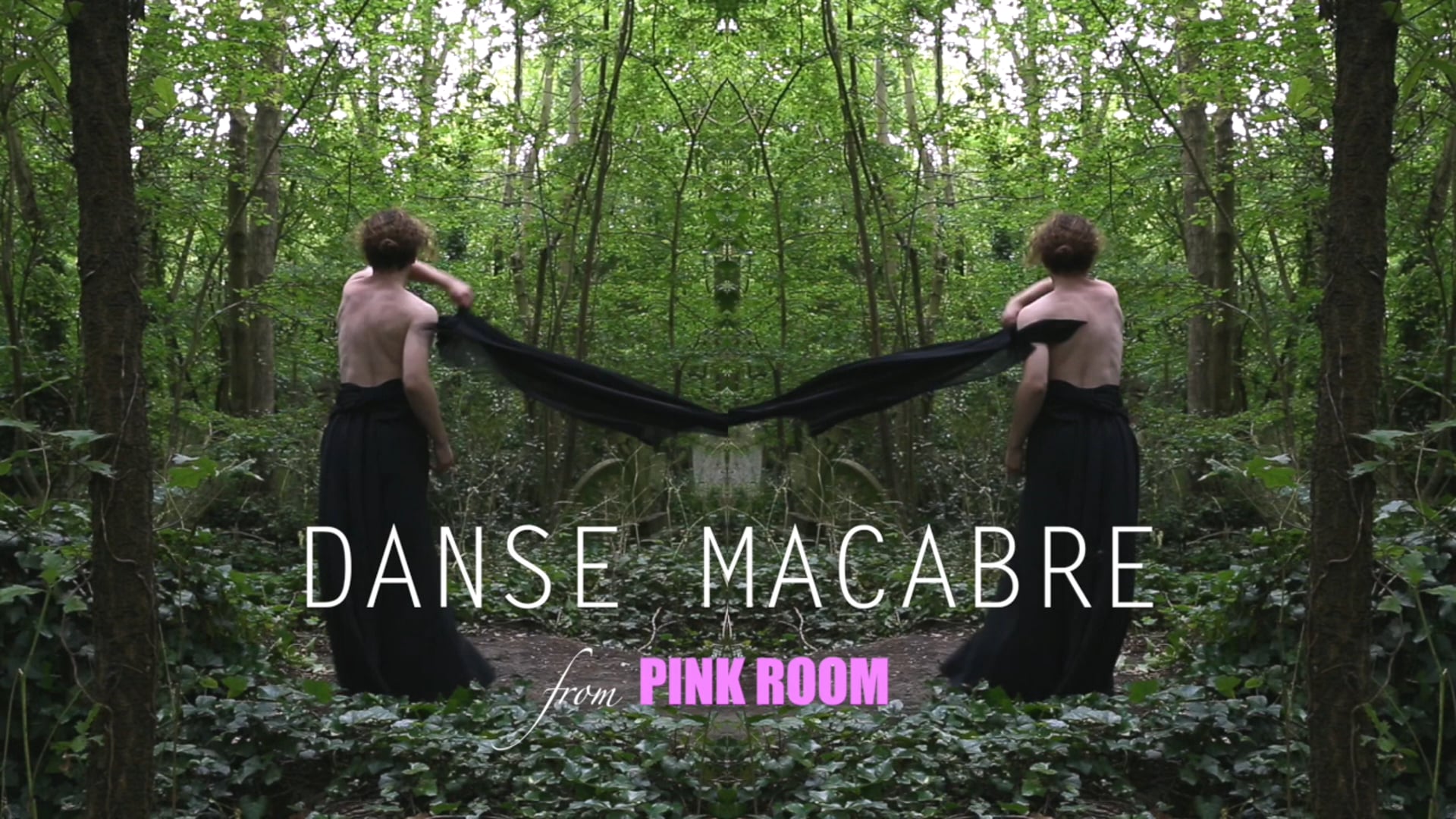 Danse Macabre (teaser)