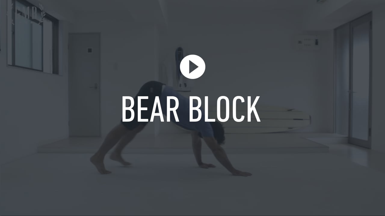 SMTK - Day 1 Bear Block