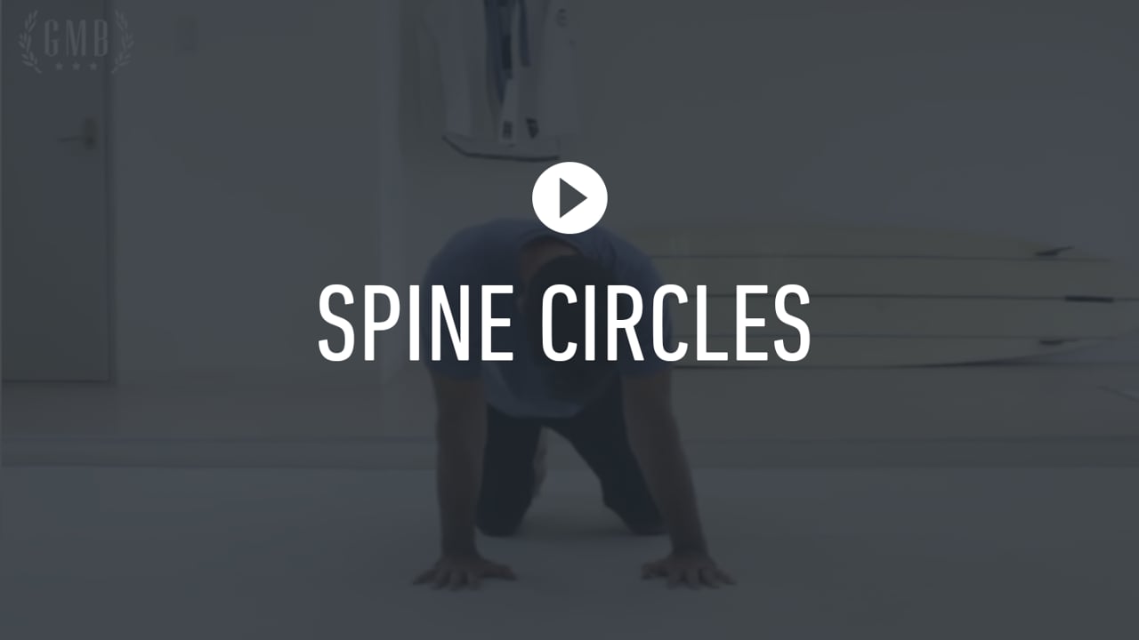 SMTK - Day 1 Spine Circles