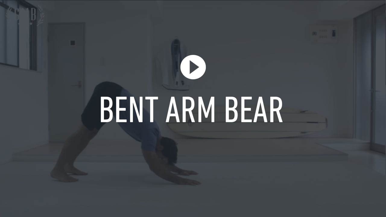SMTK - Day 2 Bent Arm Bear