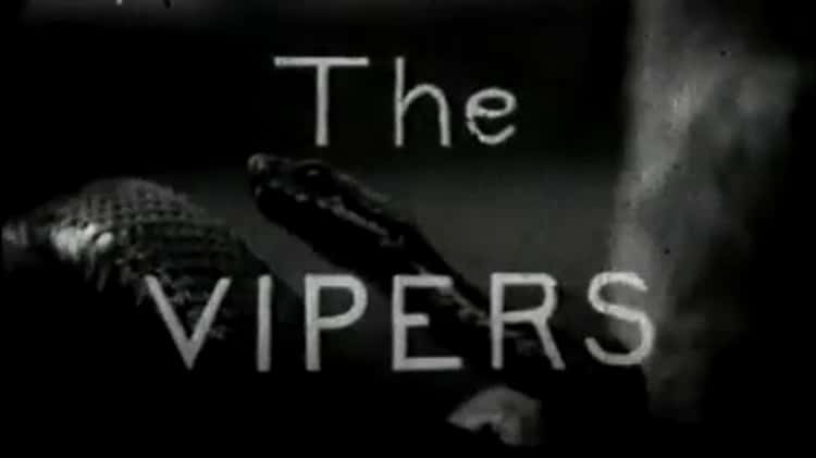 vipers movie