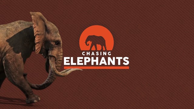 Chasing Elephants