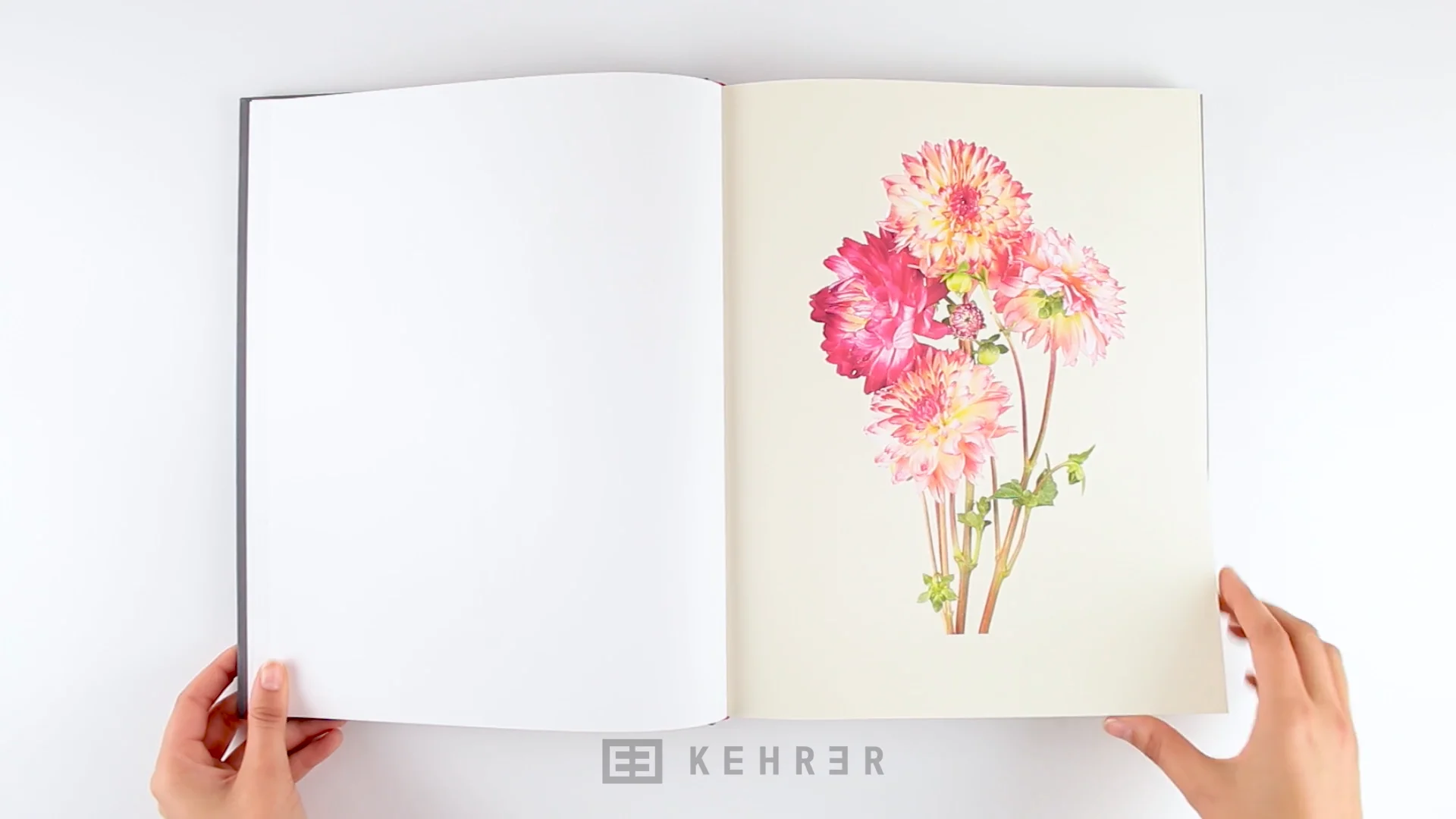藤間謙二「The Most Beautiful Flowers」花の図鑑写真集 Kenji Toma 『The Most Beautiful Flowers』 | KANA KAWANISHI