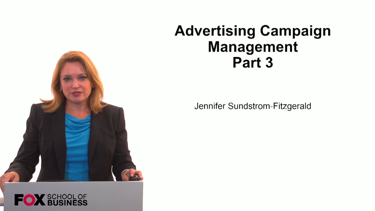 Login to view Advertising Campaign Management Part 3