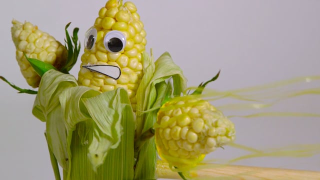 PVZ GW2 Corn Cosplanting on Vimeo