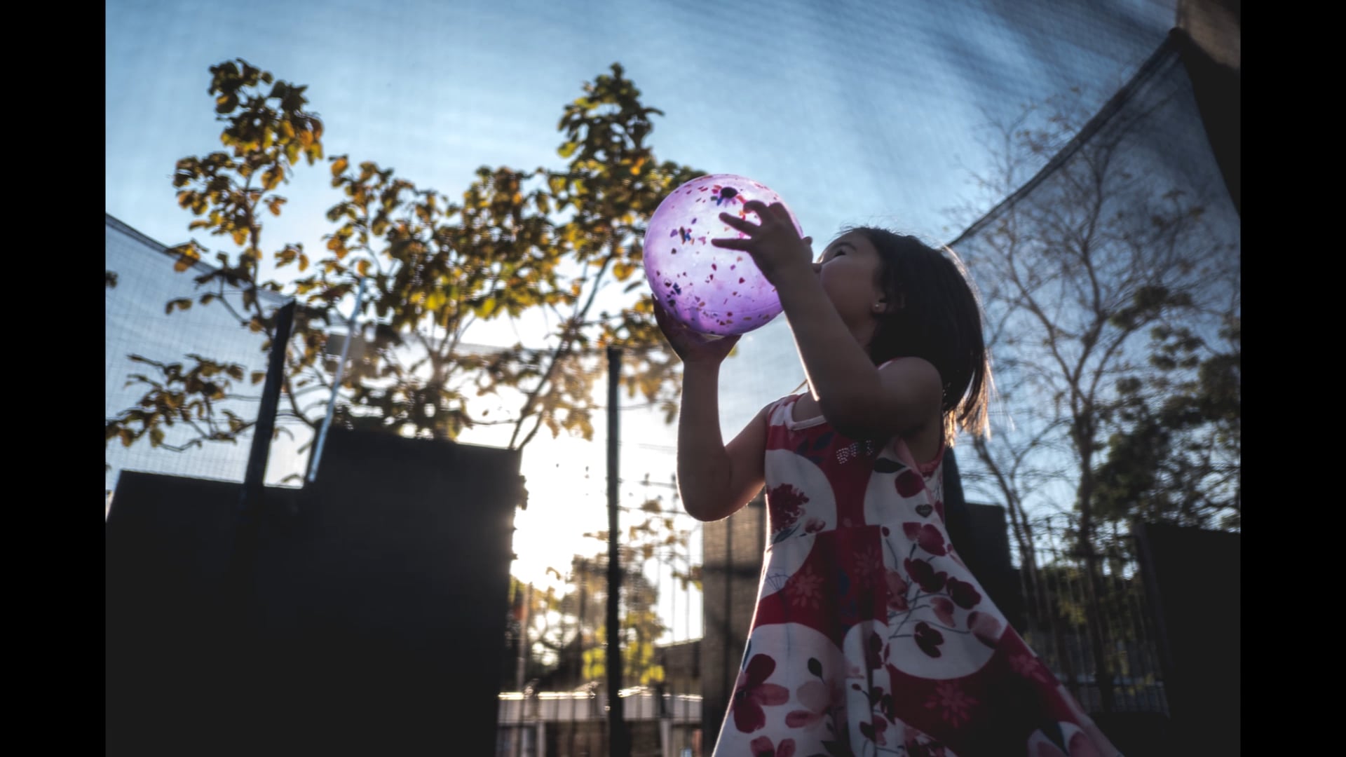 Dia de Festa - 5 anos da Carolina