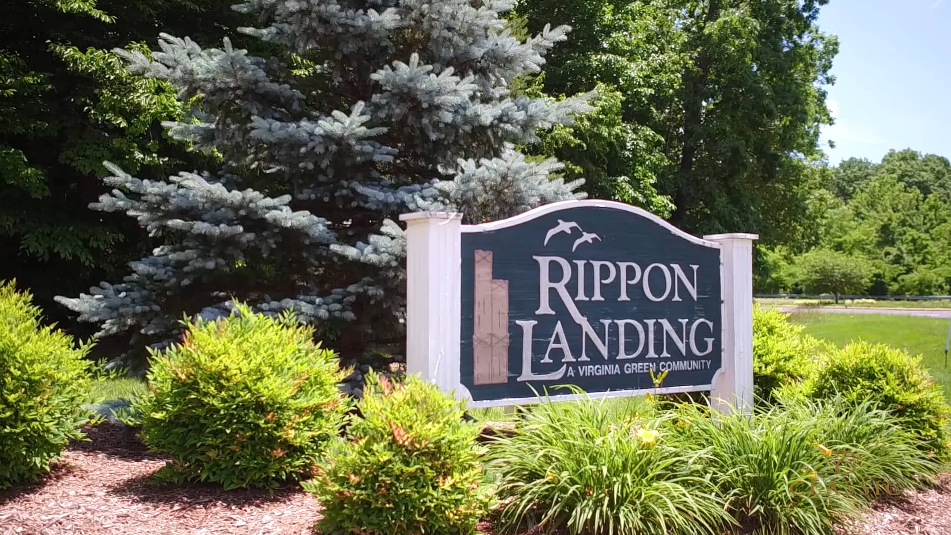Classic Realty at Rippon, Dawson and Riverside on Vimeo