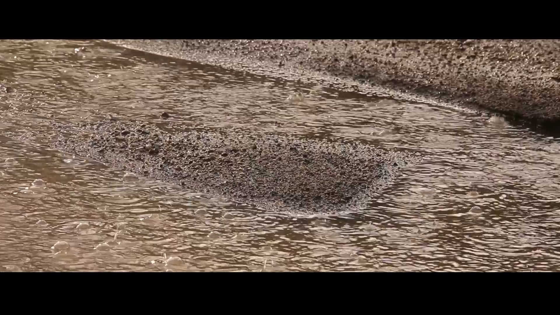 Días de sol y lluvia