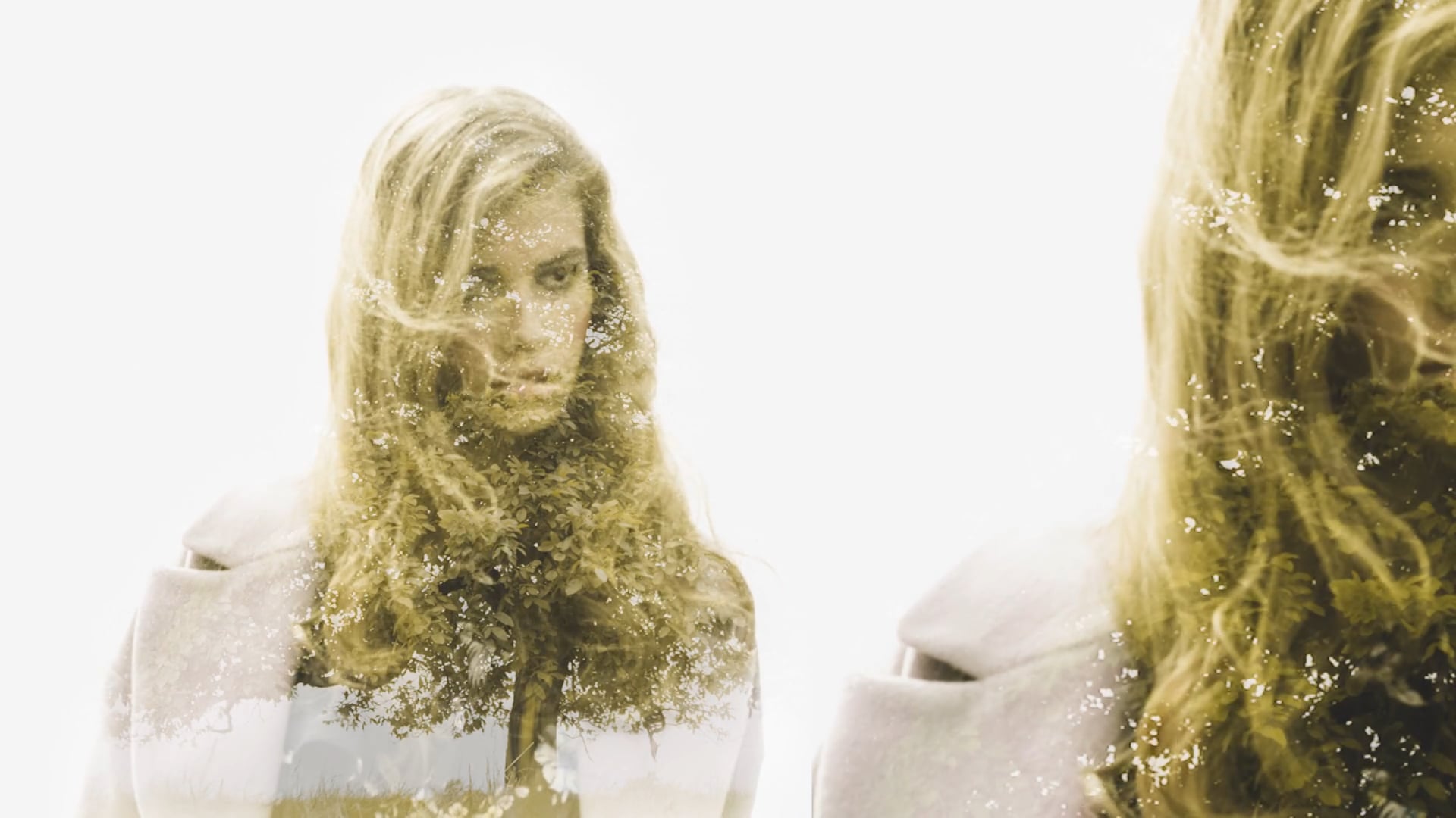 New Yorker Amisu Smog Fall 2017