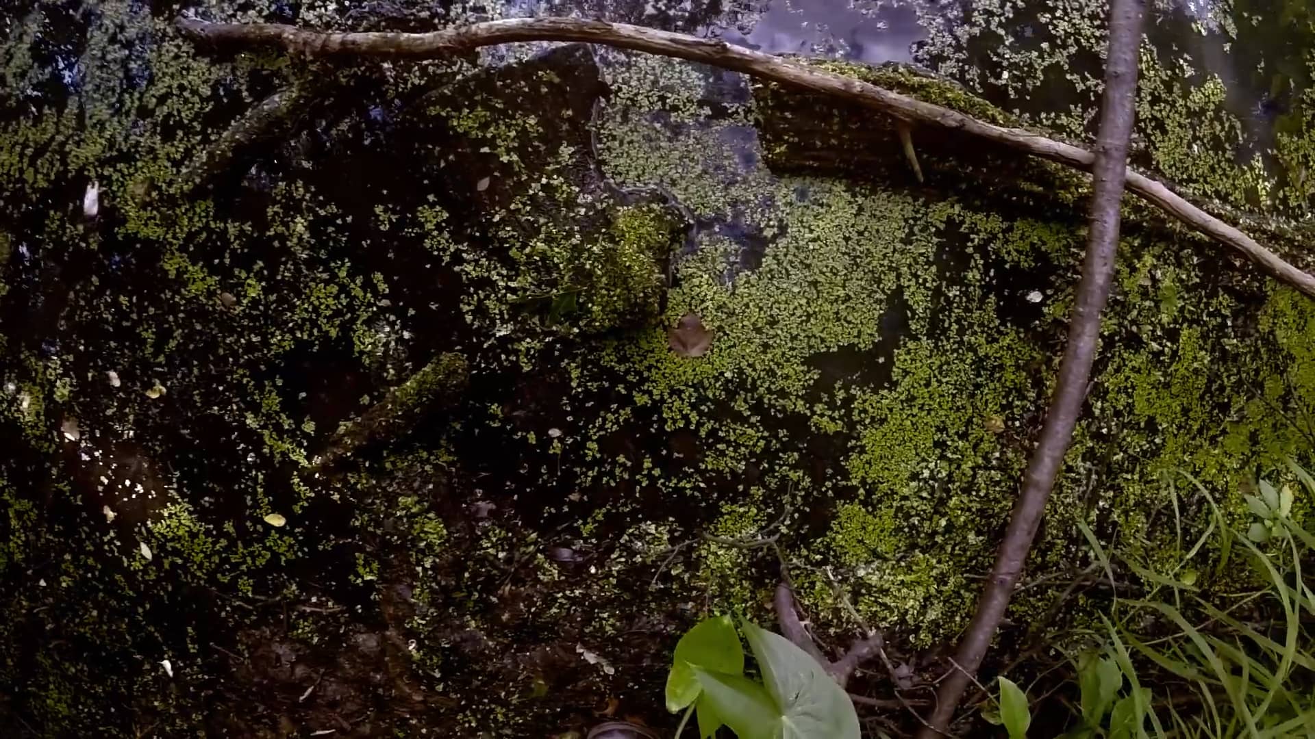 Riverside Willett Pond flat bottom boat on Vimeo