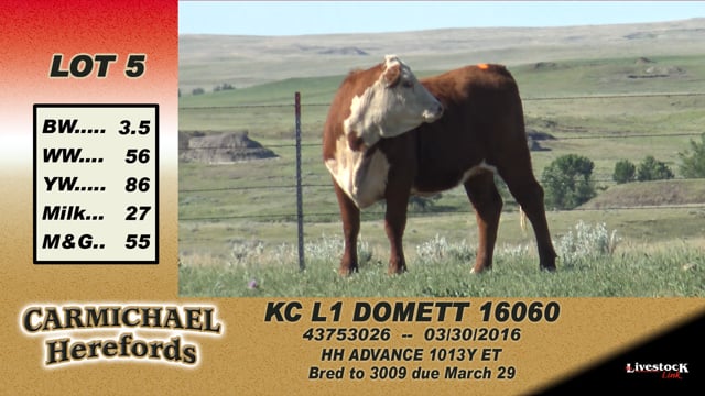 Lot #5 - KC L1 Domett 16060