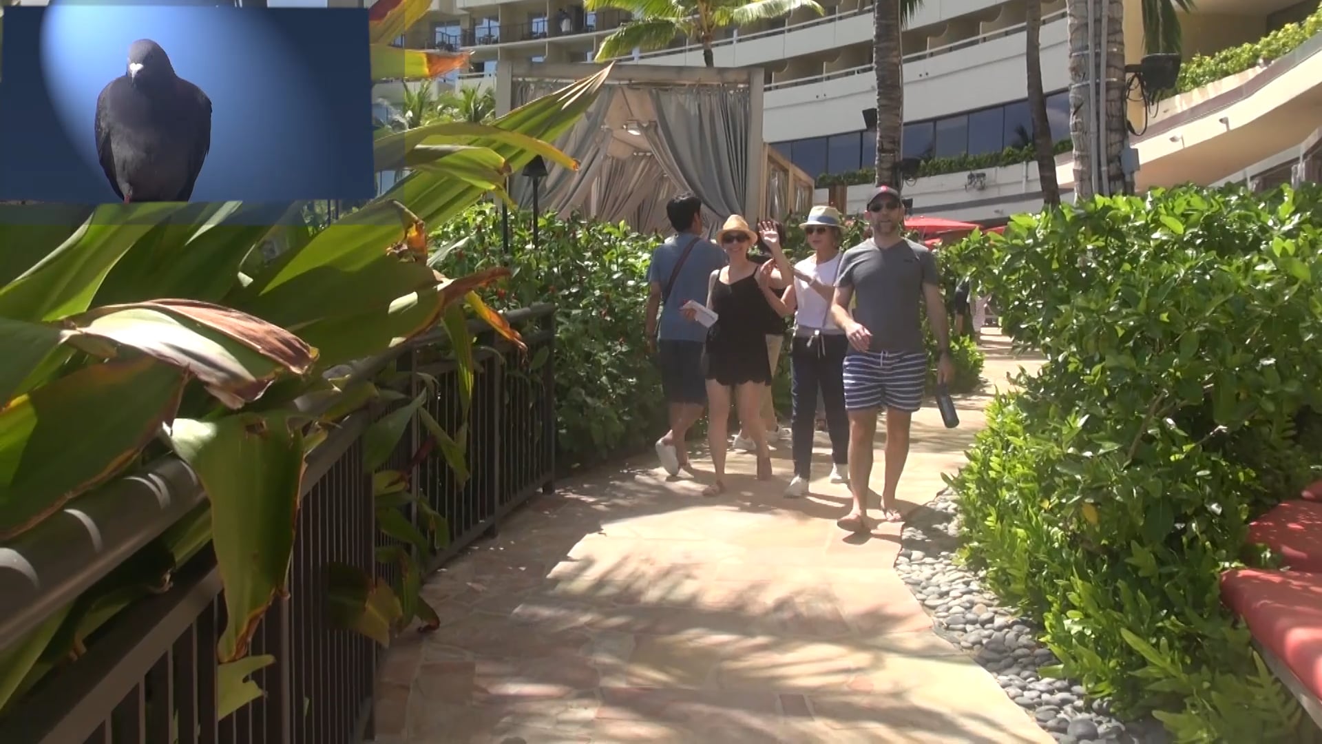 Lyn does Hawaii #1 (Days 1-4)