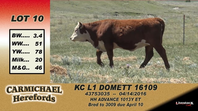 Lot #10 - KC L1 Domett 16109