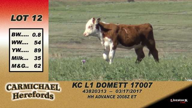 Lot #12 - KC L1 Domett 17007