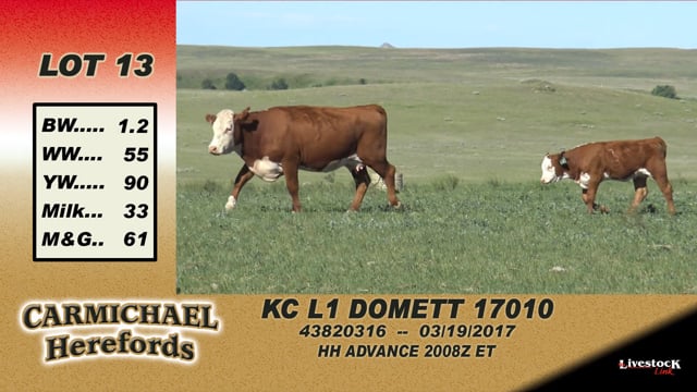 Lot #13 - KC L1 Domett 17010