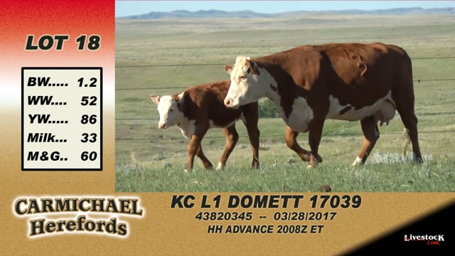 Lot #18 - KC L1 Domett 17039