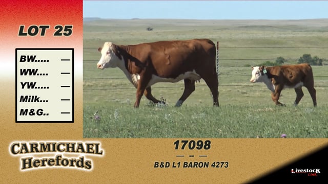 Lot #25 - 17098