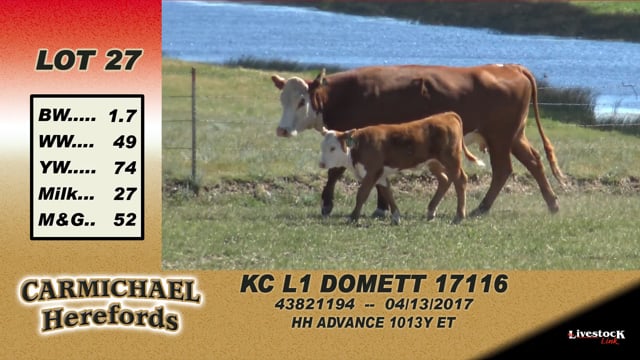 Lot #27 - KC L1 Domett 17116