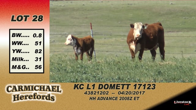 Lot #28 - KC L1 Domett 17123